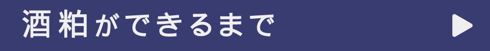 酒粕ができるまで